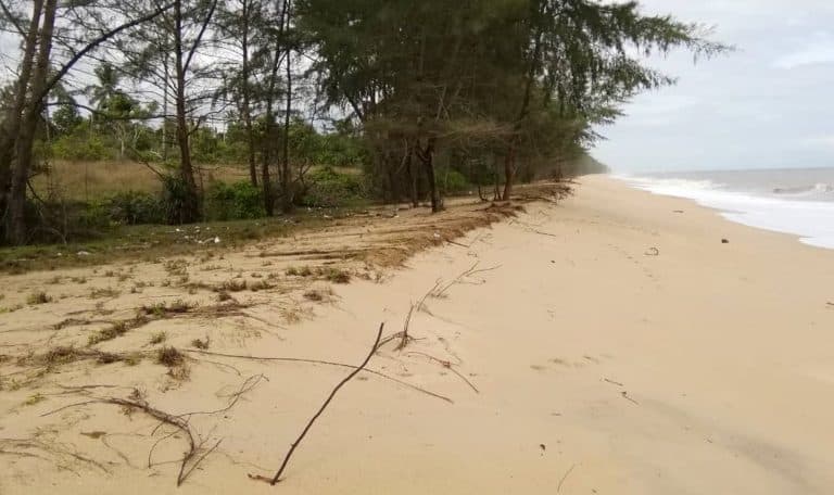 Tanah Pantai 1.27 Ekar Untuk Pembinaan Banglo, Rumah Percutian, Chalet, Homestay Dekat Gem Beach Resort Di Batu Rakit
