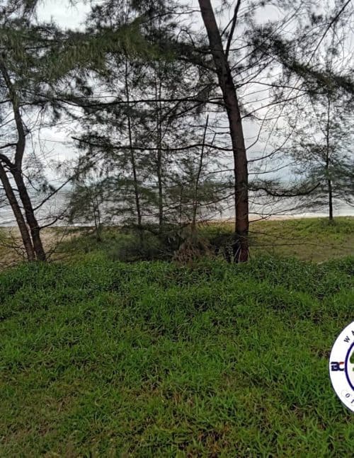 Tanah Pembagunan sebelah PANTAI 3.13 Ekar View CANTIK Pulau Bidong Di MERANG SETIU